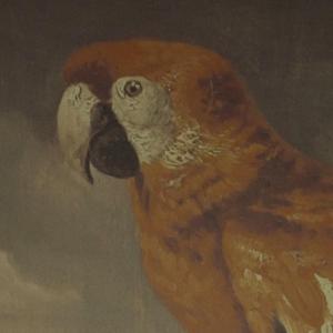 汤芳《当时光走过5》mv
