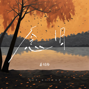 汤芳《当时光走过5》mv
