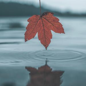 汤芳《当时光走过5》mv
